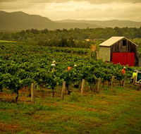 Around Hermitage Wine and Food Trail Hunter Valley - Accommodation VIC