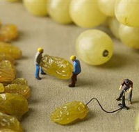 Hunter Valley Wine School - Accommodation VIC