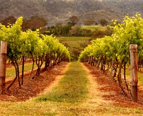 Hunter Valley Wine School - Accommodation VIC 1