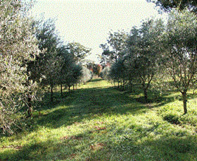 Langdale Farm - Accommodation VIC 0