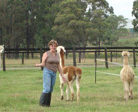 Langdale Farm - Accommodation VIC 4