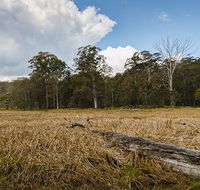 Mummel Gulf National Park - Accommodation VIC