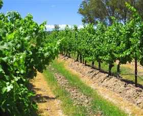 Misty Glen Wines And Cottage - Accommodation VIC 1