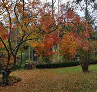 Bellbird Cottage - Accommodation VIC