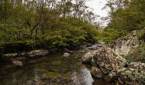 River Walking Track - Accommodation VIC 0