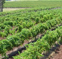 Pokolbin Brothers Wines Hunter Valley - Accommodation VIC