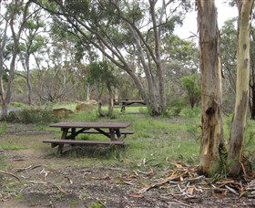 Box Vale Picnic Area - Accommodation VIC 2