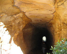 Box Vale Picnic Area - Accommodation VIC 1