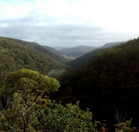 Nattai Gorge Lookout - Accommodation VIC