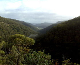 Nattai Gorge Lookout - Accommodation VIC 0