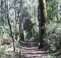 Box Vale Mine Walking Track and Lookout - Accommodation VIC