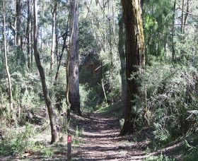 Box Vale Mine Walking Track And Lookout - Accommodation VIC 0
