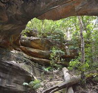 Cave Creek Walking Track - Accommodation VIC