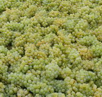 Normanby Wines - Accommodation VIC