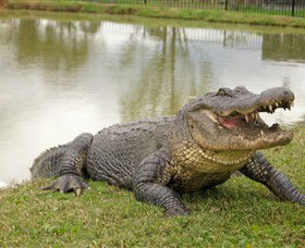 Hunter Valley Zoo - Accommodation VIC 1