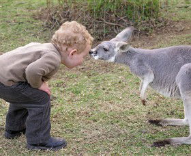 Hunter Valley Zoo - Accommodation VIC 3