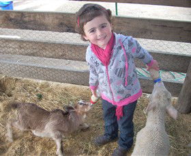 Hunter Valley Zoo - Accommodation VIC 4