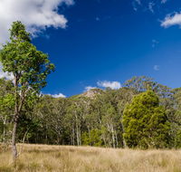 Brush Turkey track - Accommodation VIC