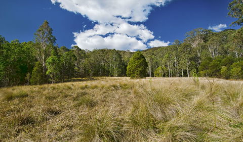 Brush Turkey Track - Accommodation VIC 1