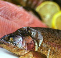 Lovedale Smokehouse Gourmet Pantry Cafe and Masterclasses - Accommodation VIC
