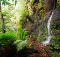 Fairy Bower Falls - Accommodation VIC