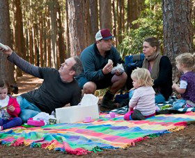 State Forests Of The Watagan Mountains - Accommodation VIC 0