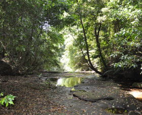 State Forests Of The Watagan Mountains - Accommodation VIC 1