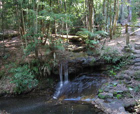 State Forests Of The Watagan Mountains - Accommodation VIC 3