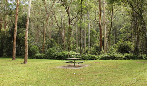 Dharug National Park - Accommodation VIC 3