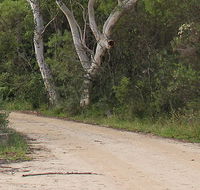 Riverview walking track - Accommodation VIC