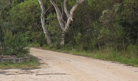 Riverview Walking Track - Accommodation VIC 0