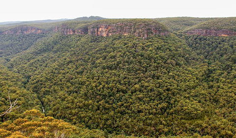 Riverview Walking Track - Accommodation VIC 3