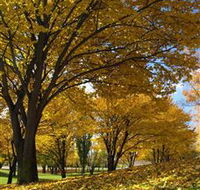 Centennial Park at Cooma - Accommodation VIC