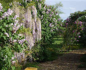 Back O The Moon - Accommodation VIC 3