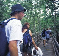 Bellthorpe National Park - Accommodation VIC