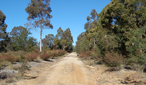 Werakata National Park - Accommodation VIC 0