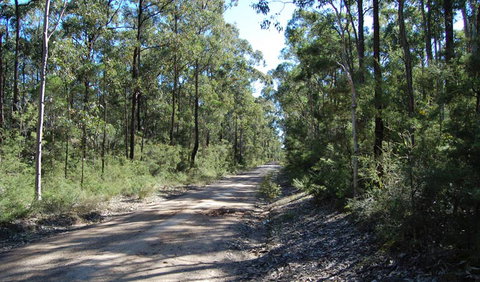 Werakata National Park - Accommodation VIC 2