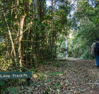 Basin Loop track - Accommodation VIC