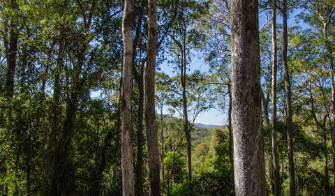 Basin Loop Track - Accommodation VIC 3