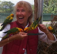 Maleny Botanic Gardens  Bird World - Accommodation VIC