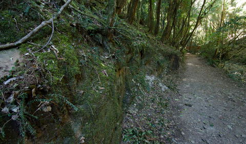 Hidden Treasure Track - Accommodation VIC 0