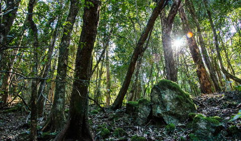 Hidden Treasure Track - Accommodation VIC 1
