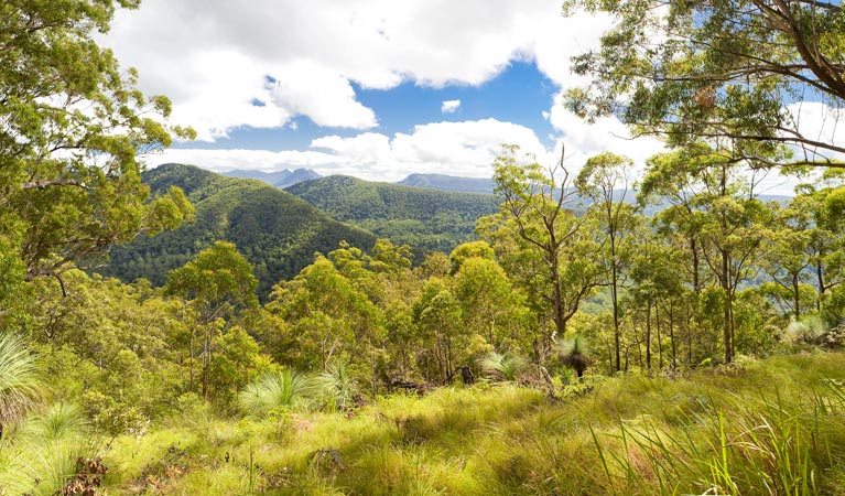 Findon Creek ACT Accommodation VIC