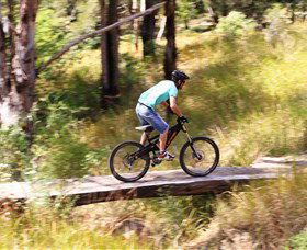 The Steps Mountain Bike Park - Accommodation VIC 0