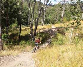 The Steps Mountain Bike Park - Accommodation VIC 2