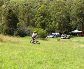 The Steps Mountain Bike Park - Accommodation VIC 1