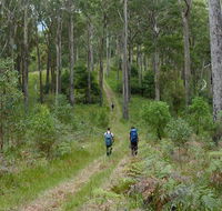 The Green Gully track - Accommodation VIC