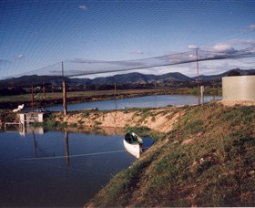 Trudgalong Farm - Accommodation VIC 1