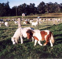 Trudgalong Farm - Accommodation VIC