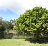 Hervey Bay Botanic Gardens - Accommodation VIC